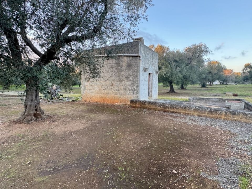 Helårsgrund i Carovigno, Brindisi - foto 1