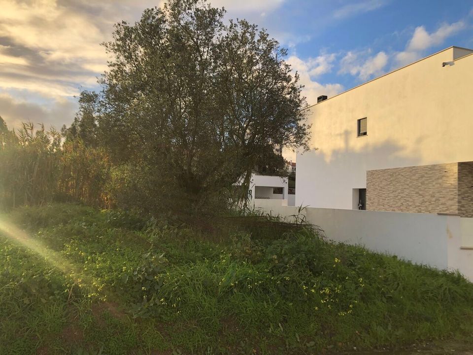 Helårsgrund i Meia Via, Santarem - foto 5