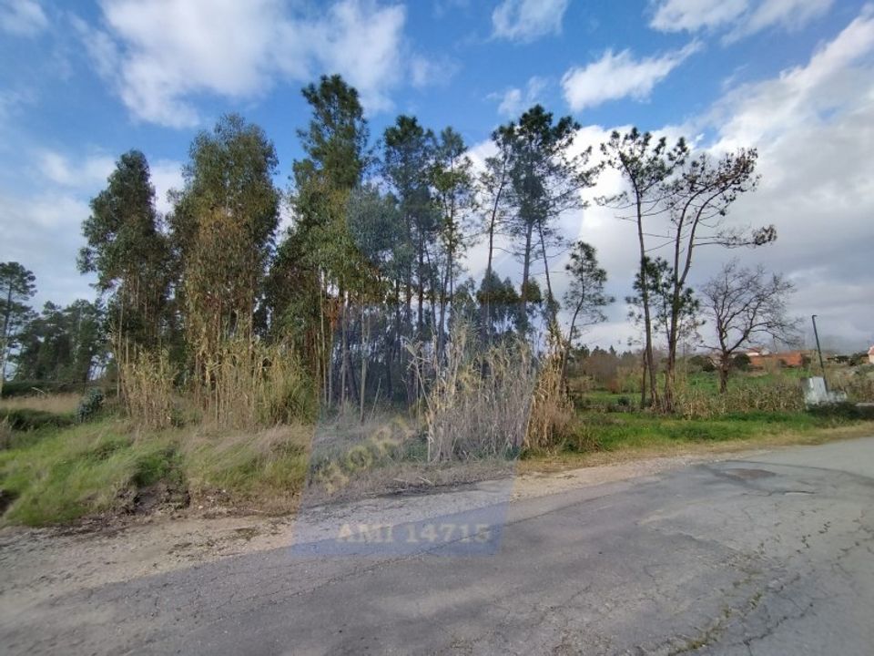 Helårsgrund i Oliveira do Bairro, Aveiro - foto 1