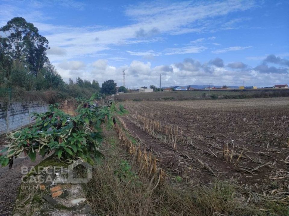 Helårsgrund i Barqueiros, Braga - foto 3