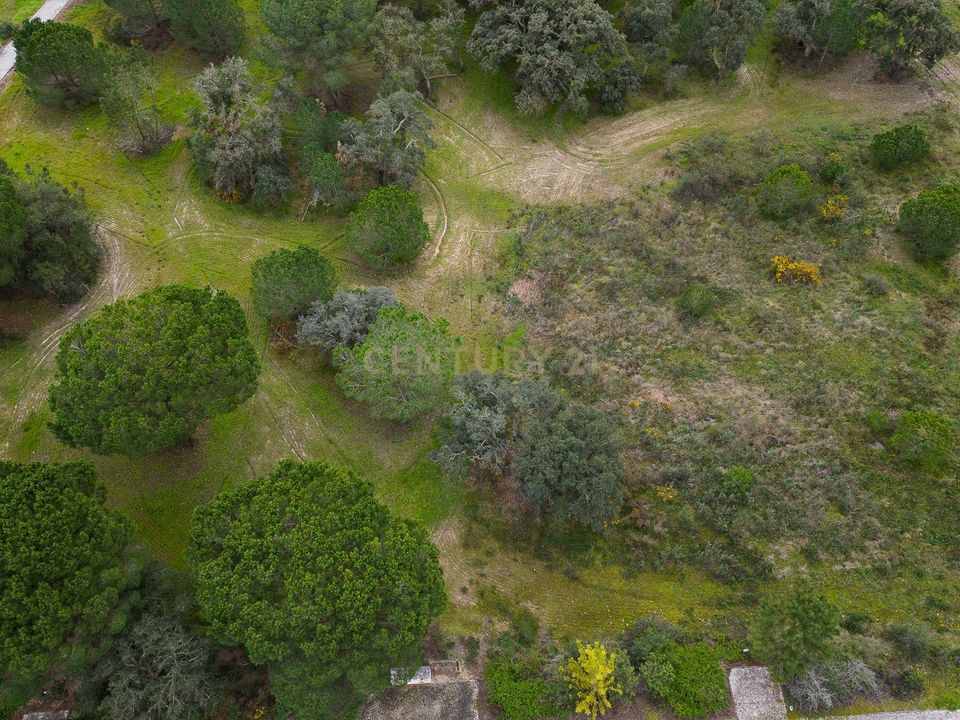 Helårsgrund i Benavente, Santarem - foto 3