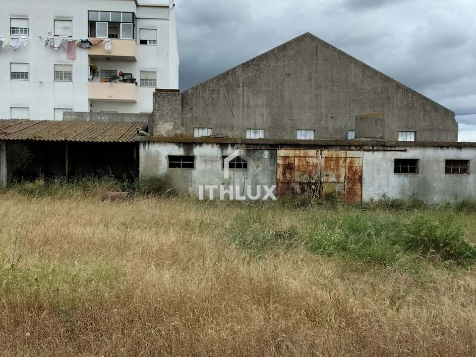 Tomt i Benavente, Santarem - bilde 5
