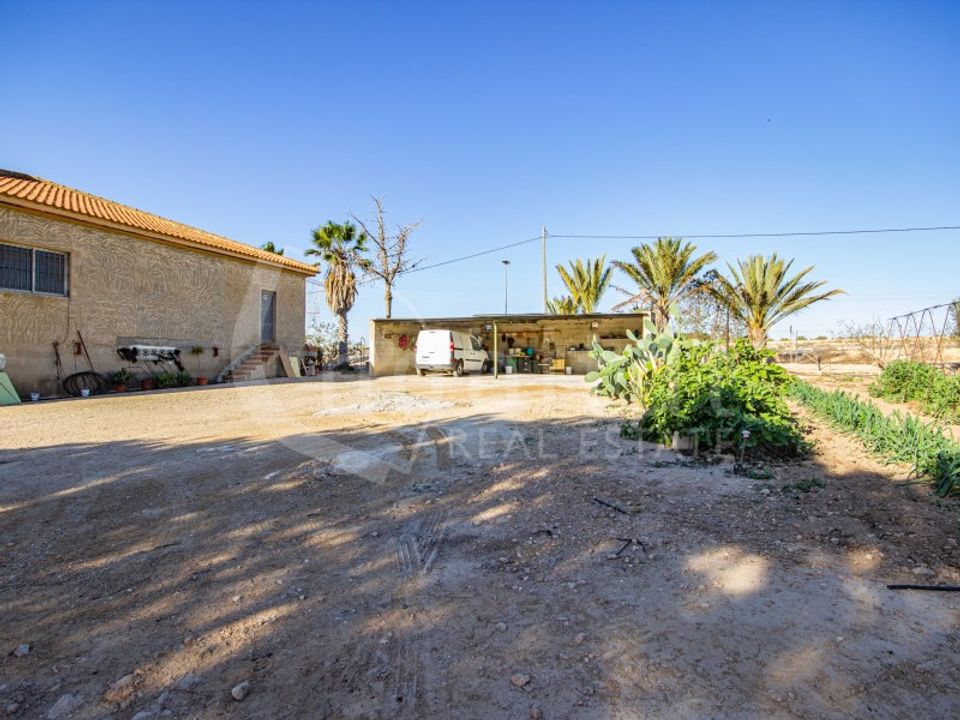 Farm i Los Montesinos, Alicante - foto 3