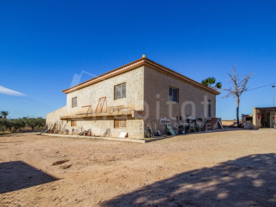 Farm i Los Montesinos, Alicante - foto 5