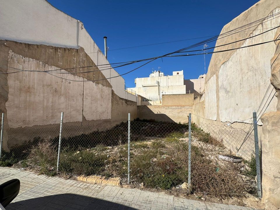 Terra a Torrellano, Alicante - foto 4