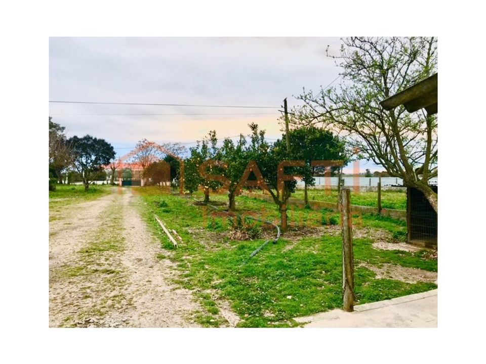Erhvervsejendom i Alpiarca, Santarem - foto 3