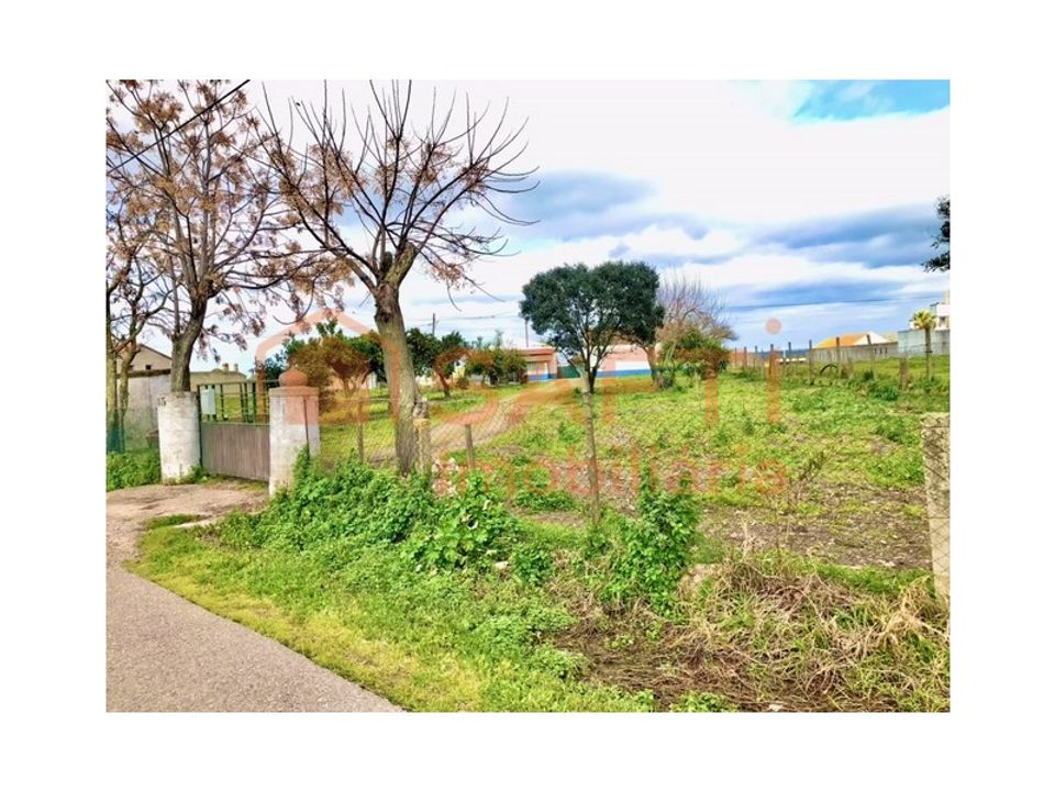 Erhvervsejendom i Alpiarca, Santarem - foto 2