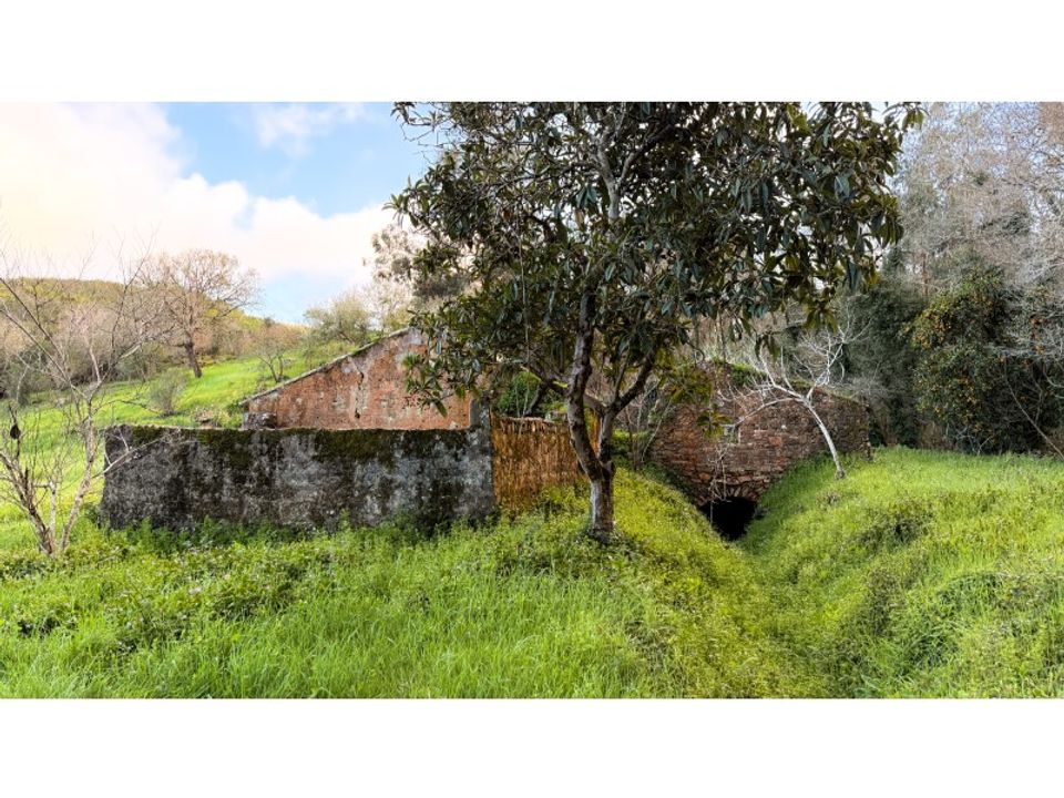 Landejendom i Sao Teotonio, Beja - foto 2
