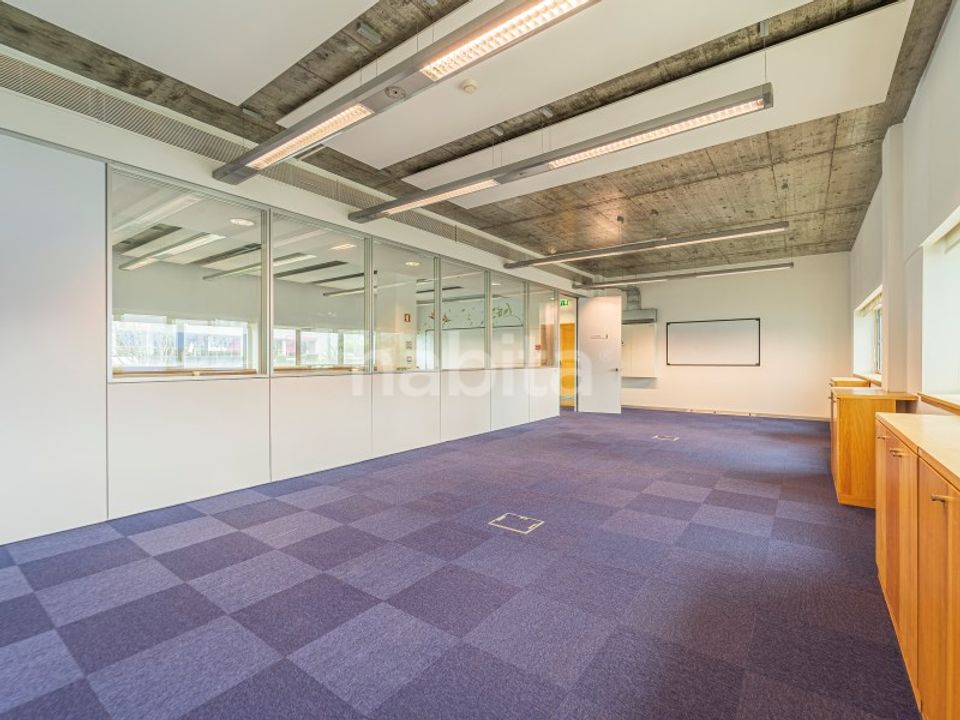 L'establiment comercial a Carnaxide, Lisbon - foto 5