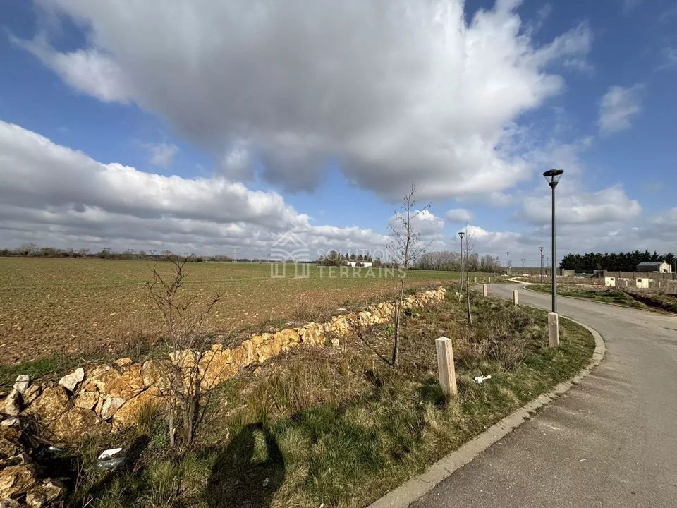 Helårsgrund i Saint-Vrain, Essonne - foto 4