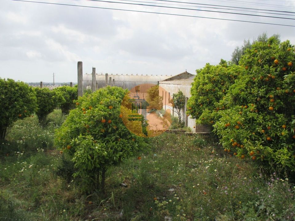 Helårsgrund i Santa Barbara de Nexe, Faro - foto 1