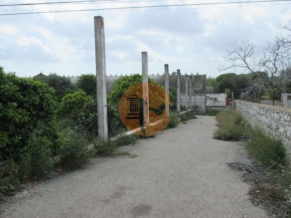 Helårsgrund i Santa Barbara de Nexe, Faro - foto 3