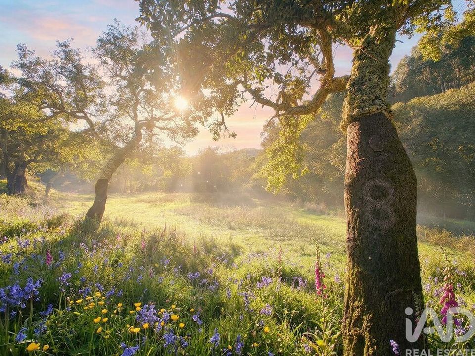 Terreno en Monchique, Faro - foto 2