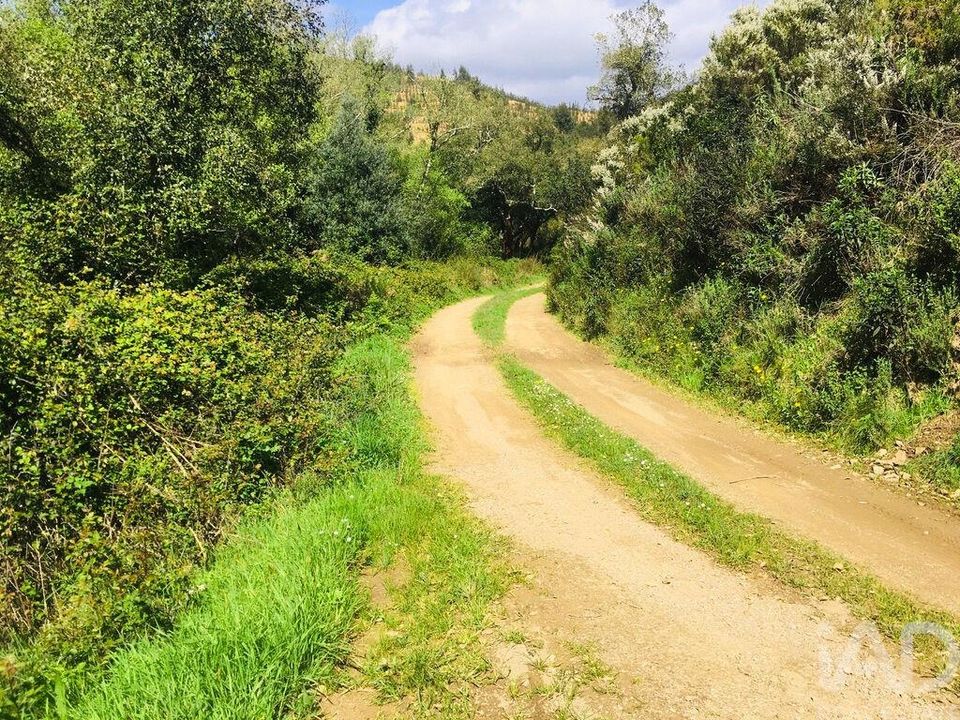 Terreno en Monchique, Faro - foto 5