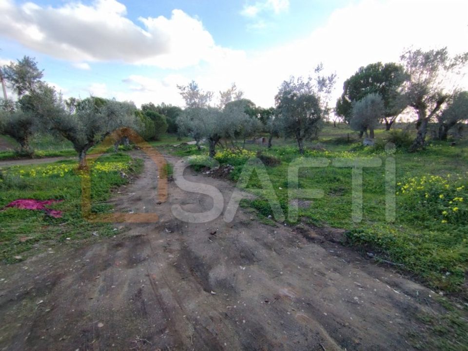 Farm hus i Ponte de Sor, Portalegre - foto 3