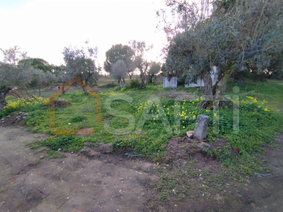 Farm hus i Ponte de Sor, Portalegre - foto 4