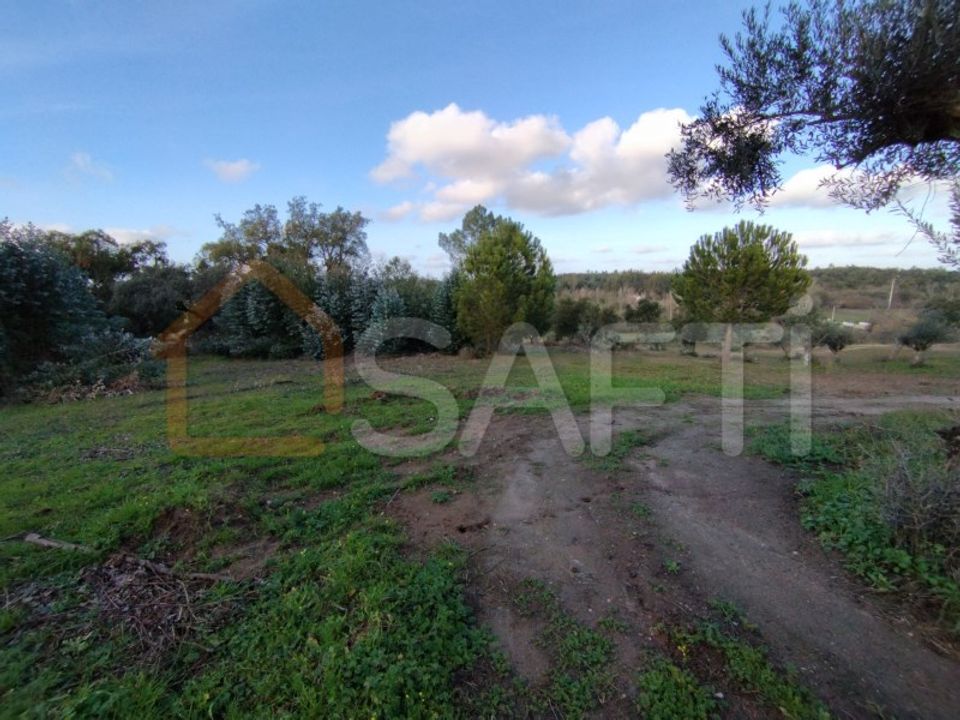 Farm hus i Ponte de Sor, Portalegre - foto 5