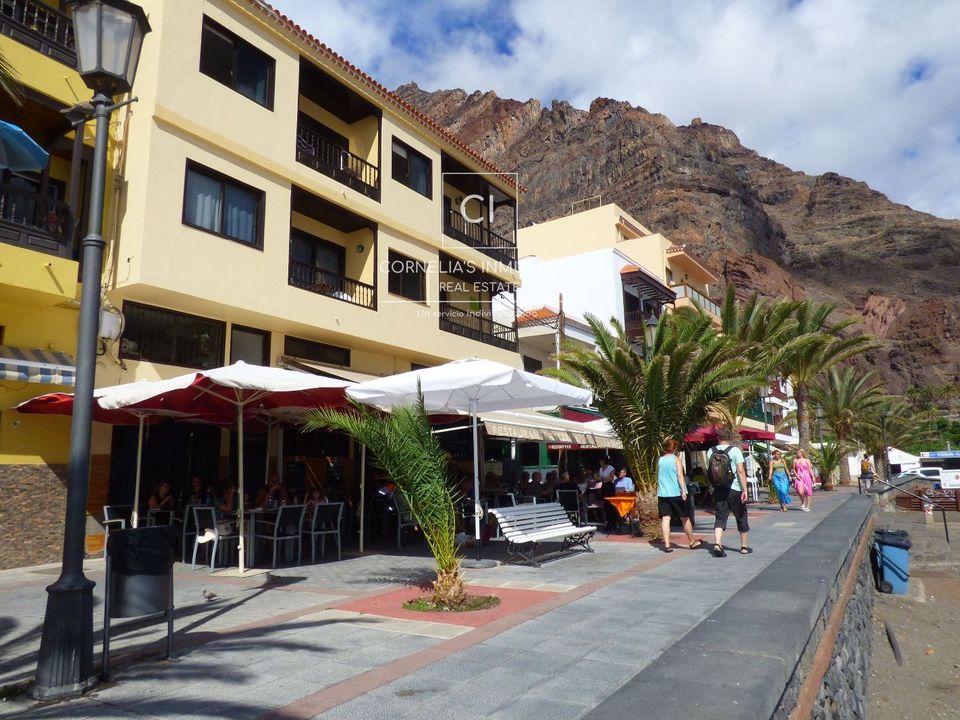 Erhvervsejendom i Valle Gran Rey, La Gomera - foto 4