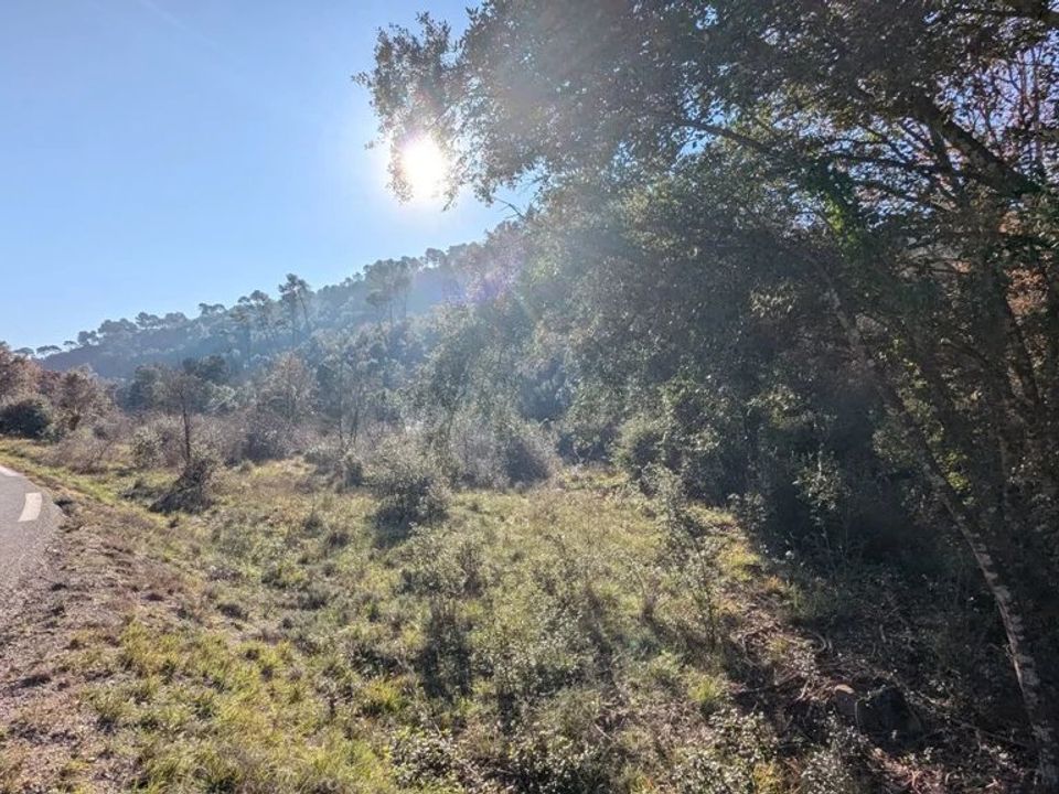 Tomt i Le Thoronet, Var - bilde 3