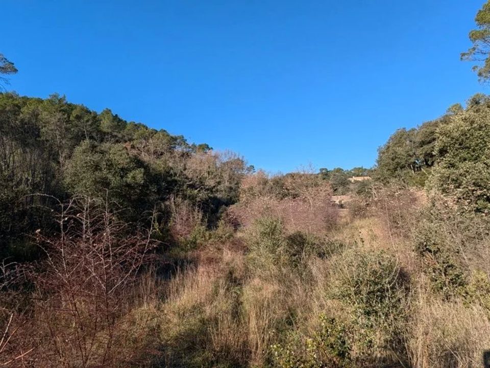 Tomt i Le Thoronet, Var - bilde 1