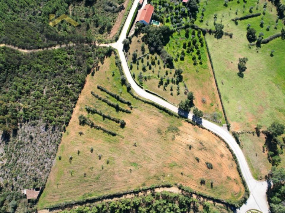 Helårsgrund i Castelo Branco, Castelo Branco - foto 4