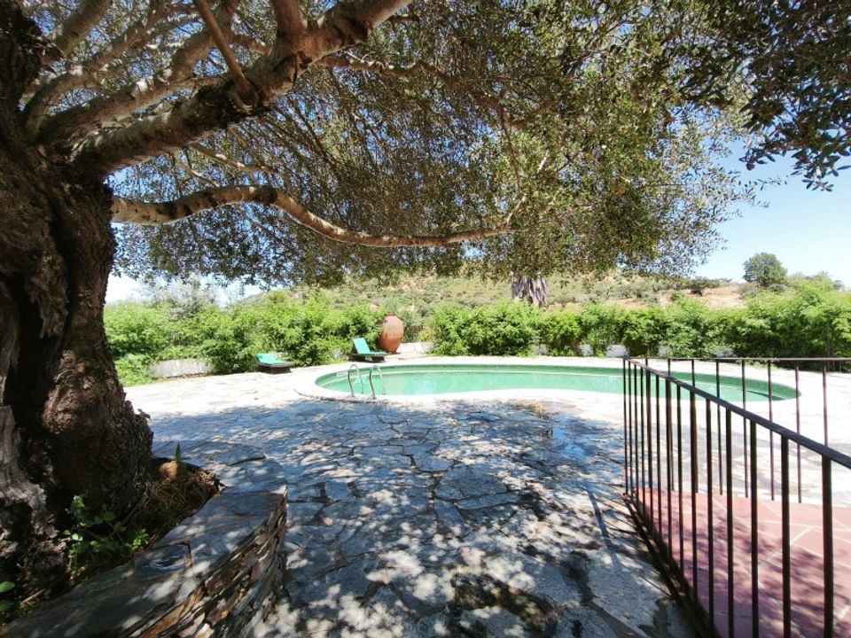 Farm hus i Evora, Evora - foto 4