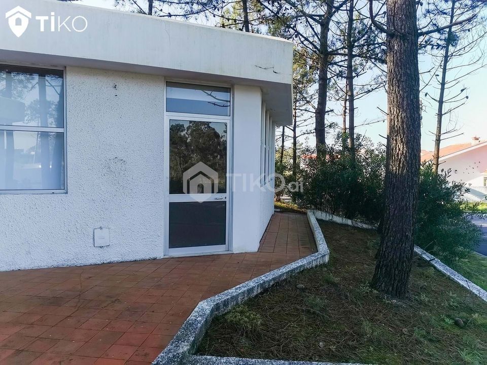 Erhvervsejendom i Torreira, Aveiro - foto 4