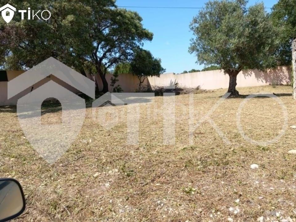 Helårsgrund i Olaia e Paco, Santarem - foto 4