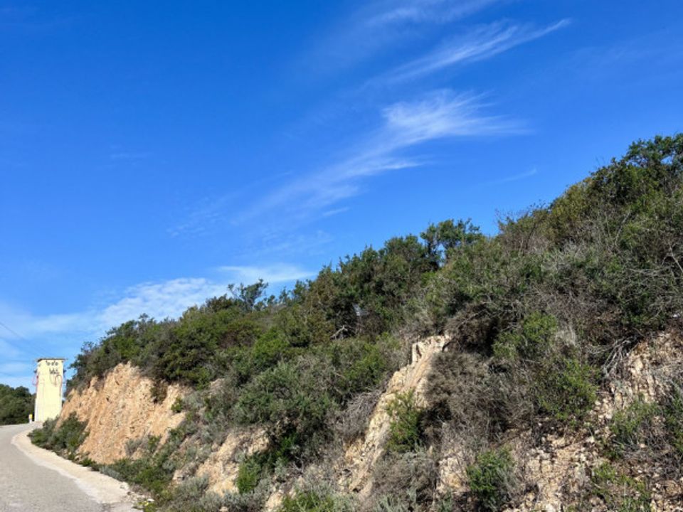 Helårsgrund i Olbia, Sassari - foto 3