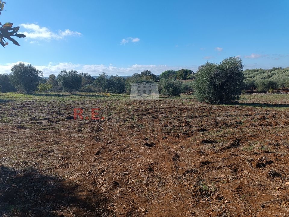 Villa i Martina Franca, Taranto - foto 5