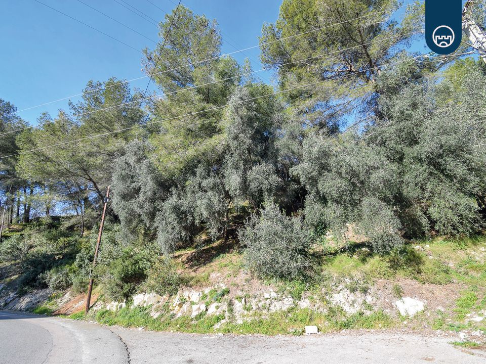 Helårsgrund i Nice, Alpes-Maritimes - foto 4