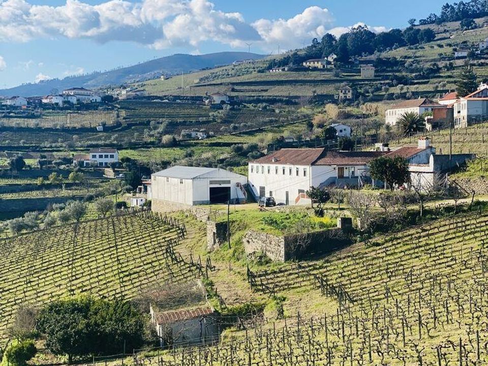 Byhus i Peso da Regua, Vila Real - foto 1