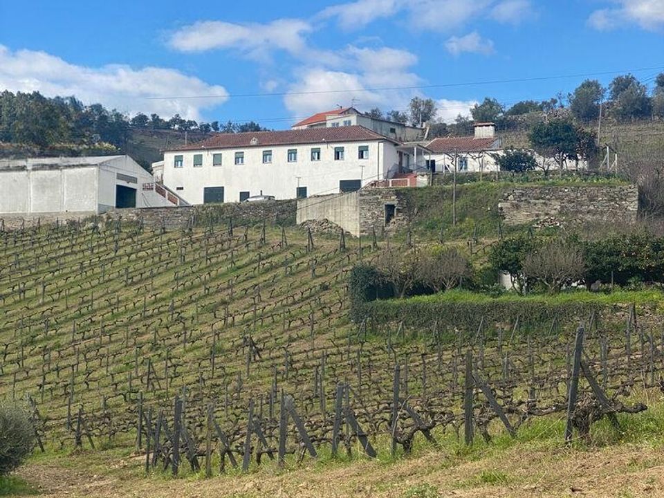 Byhus i Peso da Regua, Vila Real - foto 3