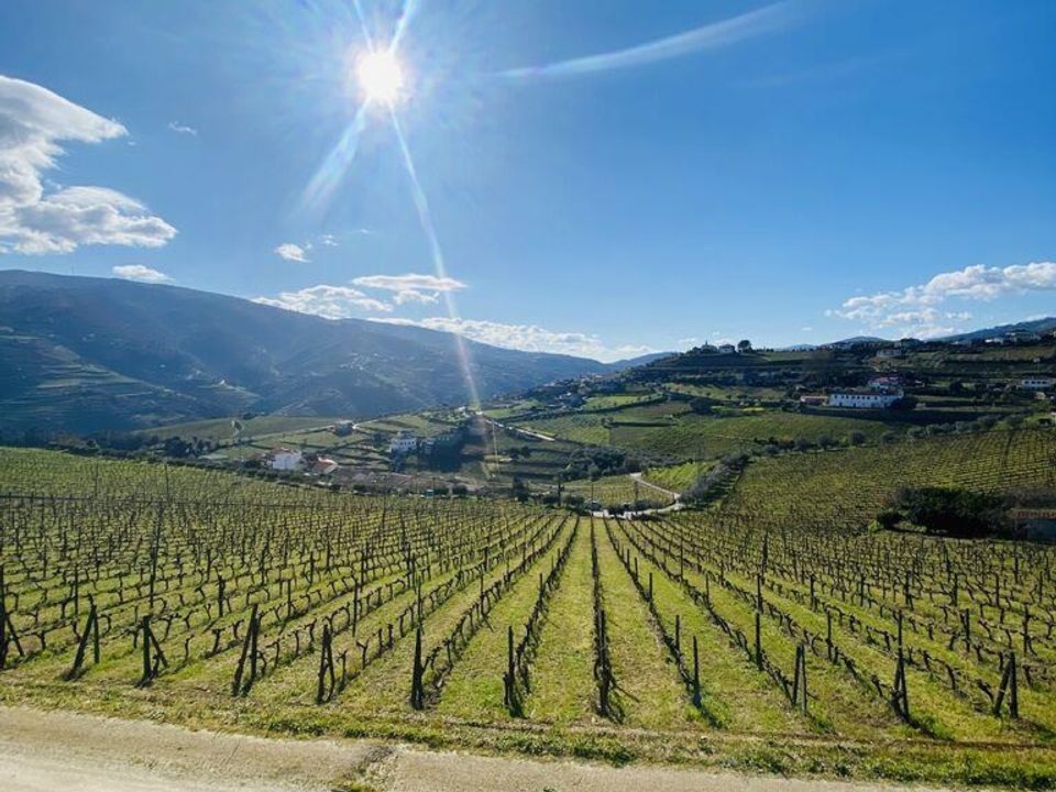 Byhus i Peso da Regua, Vila Real - foto 5