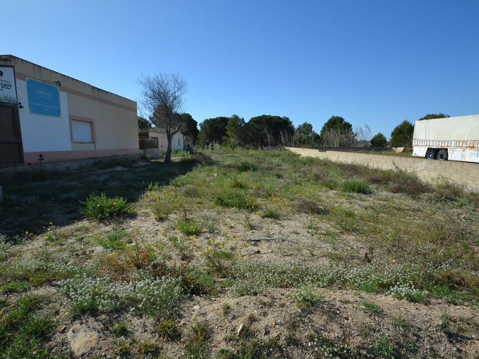 Helårsgrund i Deltebre, Tarragona - foto 3