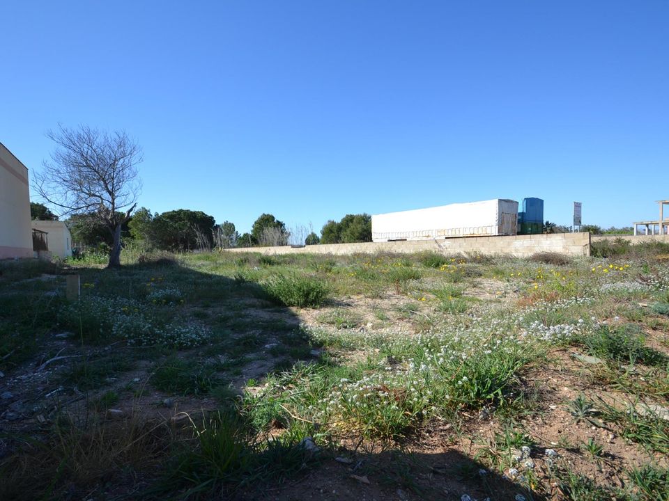 Helårsgrund i Deltebre, Tarragona - foto 4