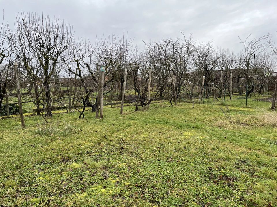 Villa a Lathus-Saint-Remy, Vienne - foto 2