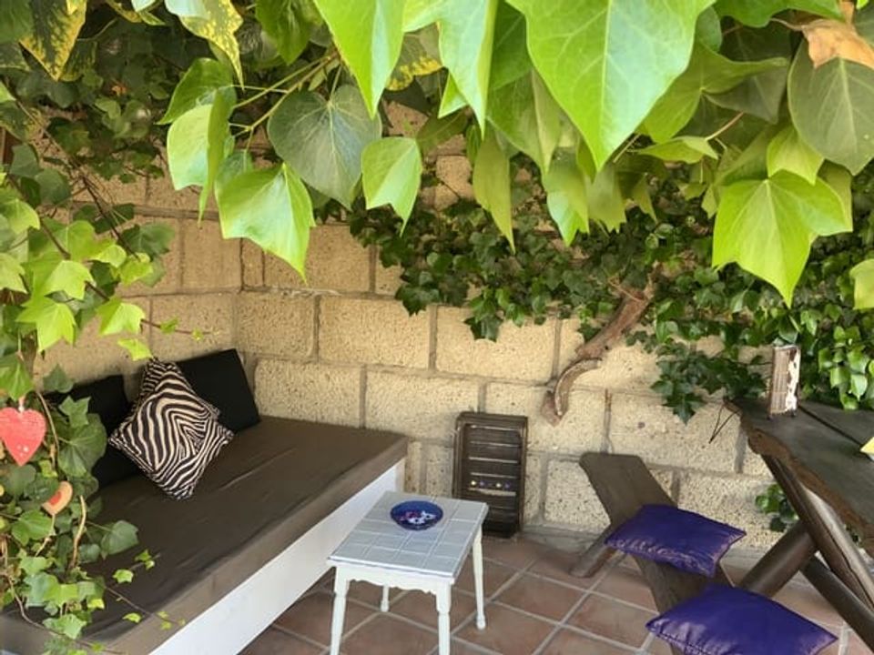 Erhvervsejendom i San Miguel De Tajao, Tenerife - foto 3