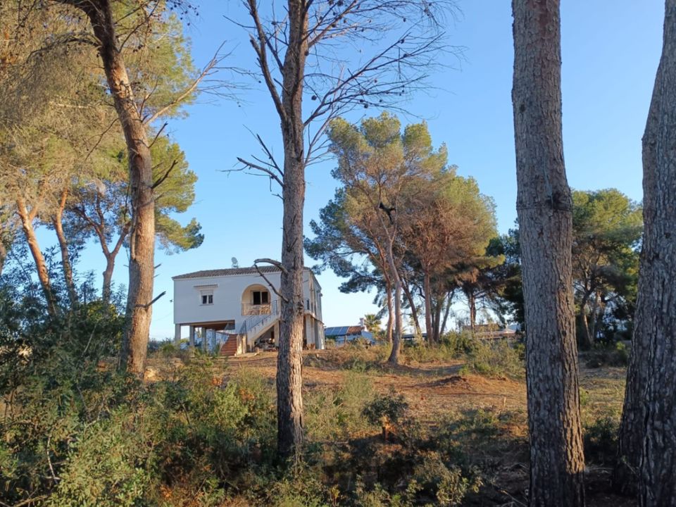 Helårsgrund i Moraira, Alicante - foto 2