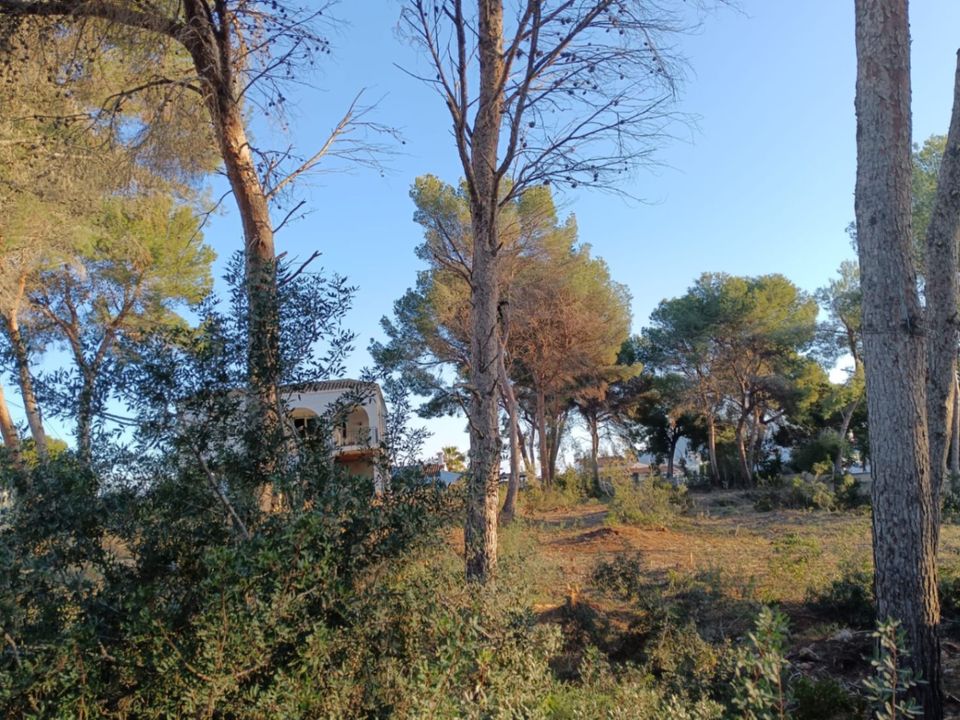 Helårsgrund i Moraira, Alicante - foto 3
