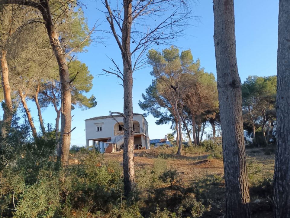 Helårsgrund i Moraira, Alicante - foto 4
