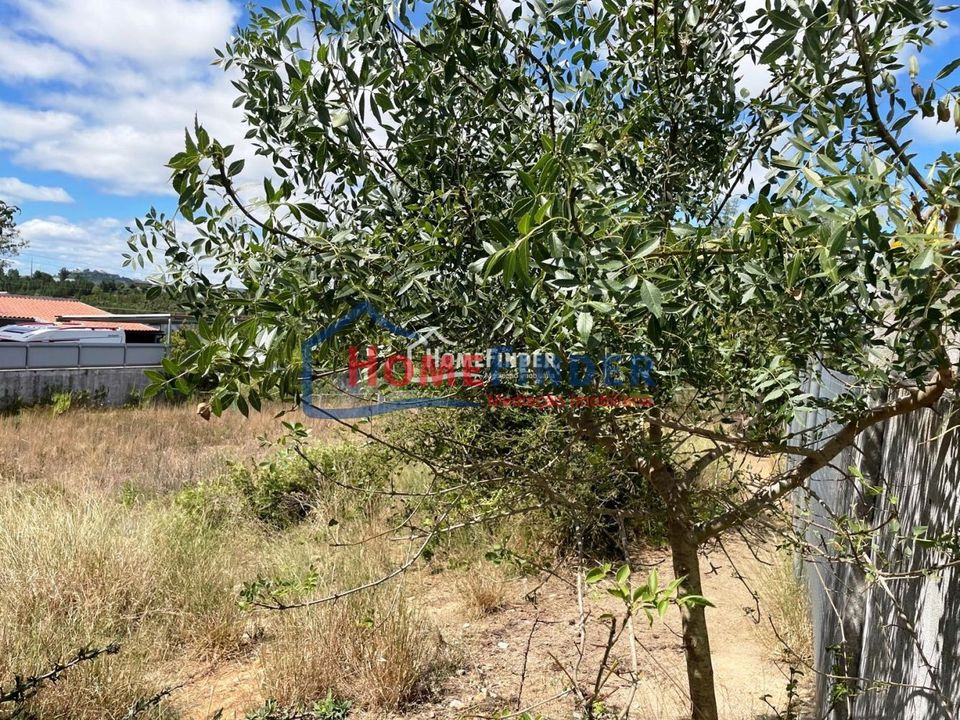 Helårsgrund i Abrantes, Santarem - foto 5