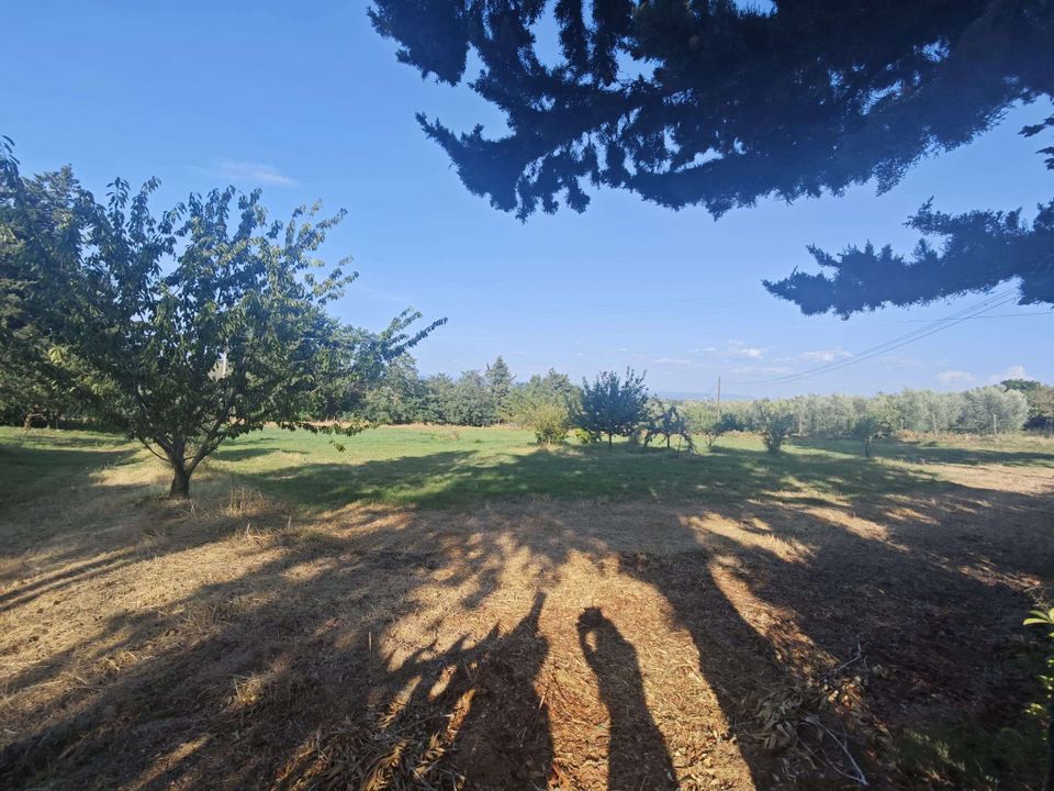 Farm hus i Gambassi Terme, Florence - foto 4