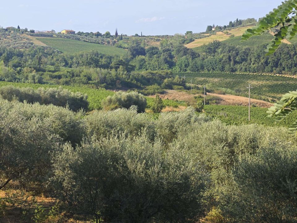 Farm hus i Gambassi Terme, Florence - foto 5