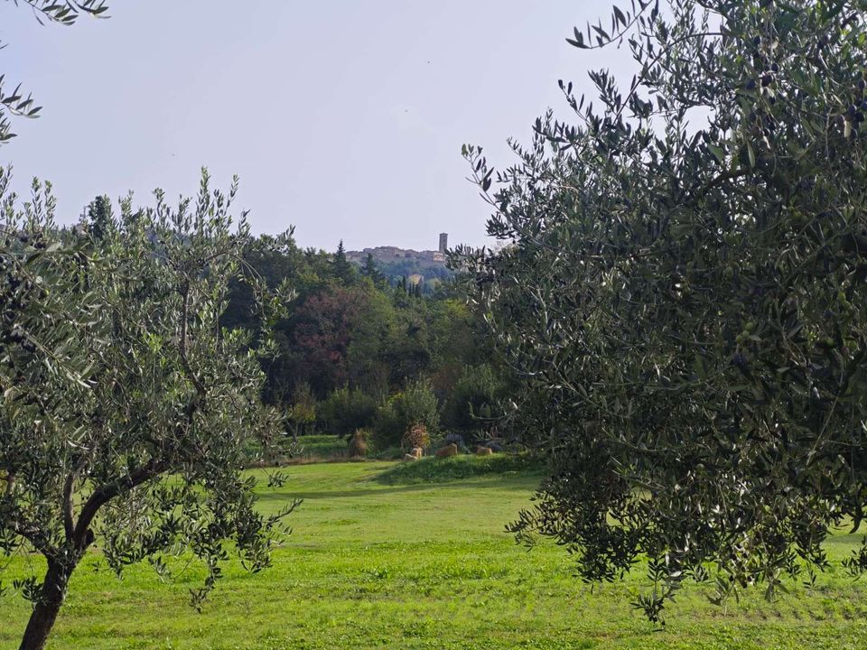 Villa en Volterra, Pisa - foto 5