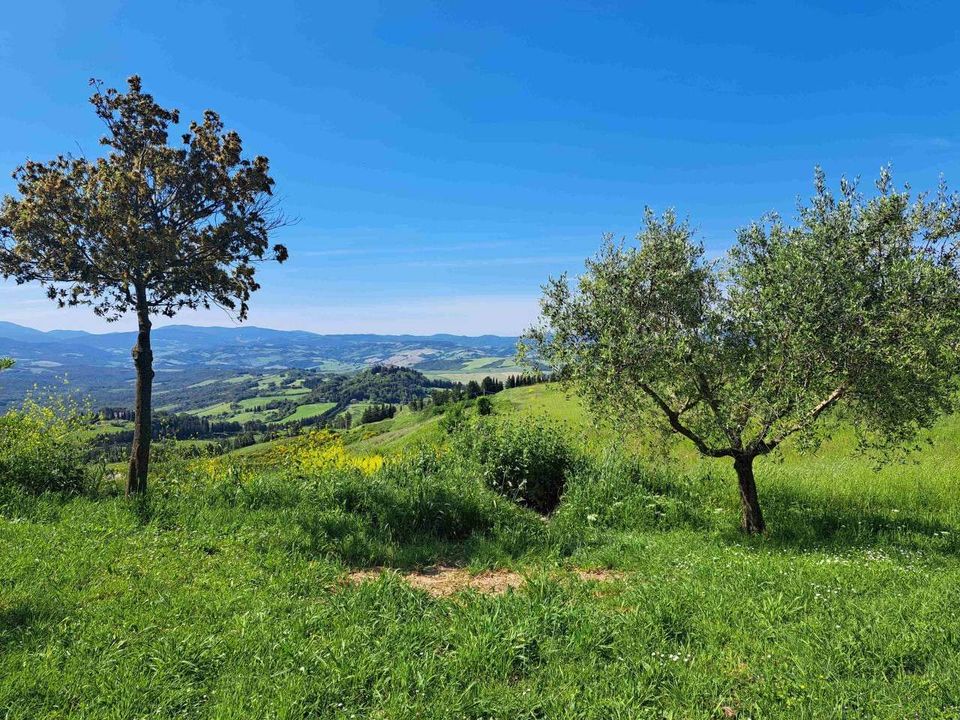 Villa i Volterra, Pisa - foto 2