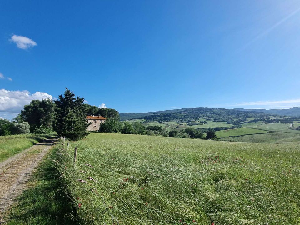 Villa in Lajatico, Pisa - foto 2