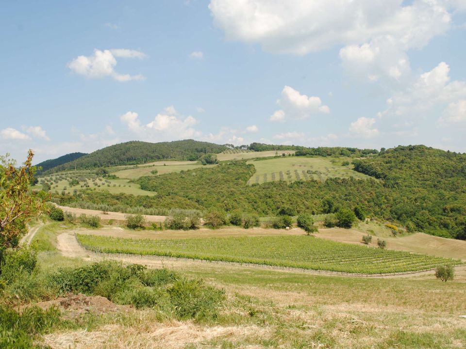 Farm hus i Volterra, Pisa - foto 3