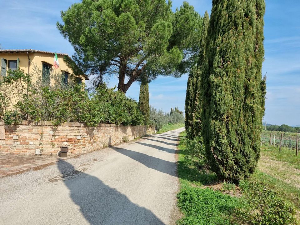 Siedlisko: Castelfiorentino, Florence – zdjęcie 5