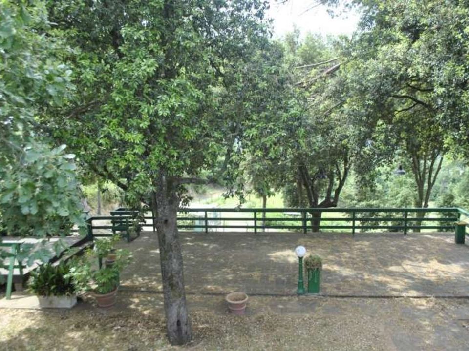 Farm hus i Peccioli, Pisa - foto 5